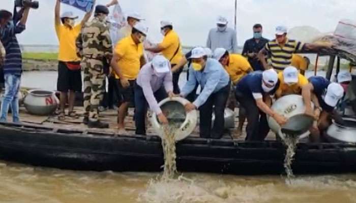 ব্যারাজের বাধা কাটিয়ে রূপোলিশস্য ফের এলাহাবাদে, ফারাক্কার গঙ্গায় ছাড়া হল ইলিশের চারা