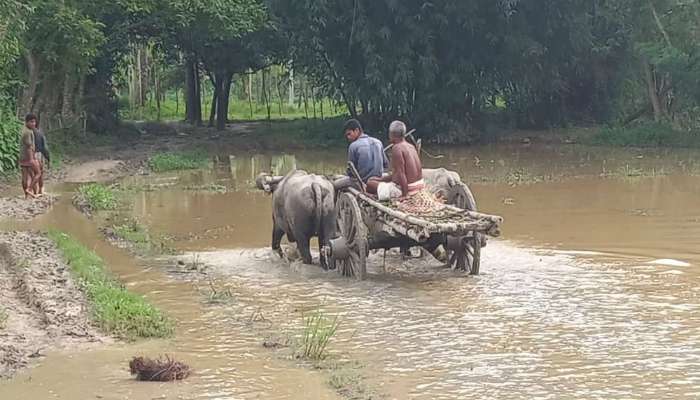 সময় থমকে! উত্তর দিনাজপুরে আস্ত গ্রাম, অথচ ৩৫ বছর ধরে থাকে না কেউ! 