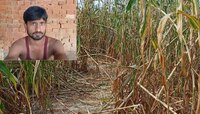 হাথরস কাণ্ড : ''৫০ হাজার টাকা চাই'', দাবি যে ক্ষেতে দুষ্কর্ম হয় সেটির মালিকের