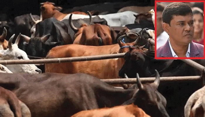কয়লা মাফিয়া লালার সঙ্গে নাম জড়াল গরু পাচারকাণ্ডের মাথা এনামুলের