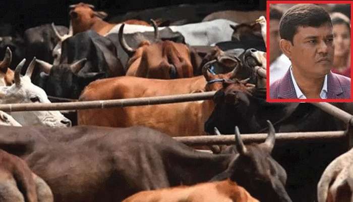 'কেন্দ্ৰকে ট্যাক্স দিই আমি', সিবিআই দফতরে হাজিরা দিয়ে দাবি গরু পাচারকাণ্ডে ধৃত এনামুলের