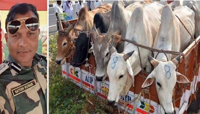 গরু পাচার কাণ্ডে গ্রেফতার প্রাক্তন BSF কমান্ড্যান্ট, তৃণমূলকে বিঁধলেন সায়ন্তন