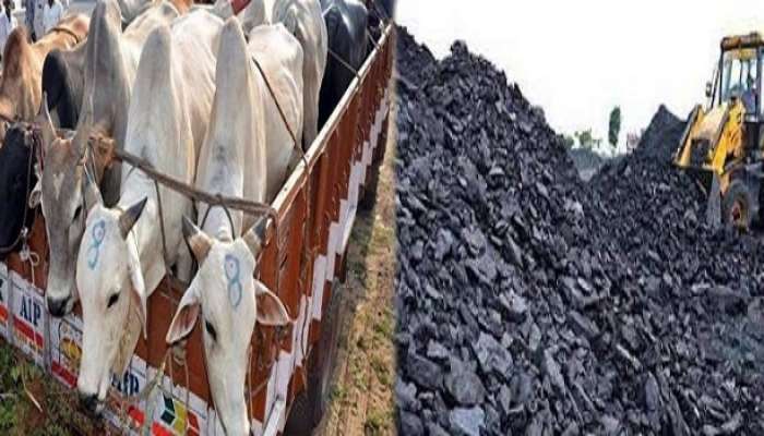 গরু পাচার কাণ্ডে ২ রাজ্য পুলিসকর্মীকে জেরা CBI-এর, কয়লাকাণ্ডে নোটিস গণেশ বাগোড়িয়াকে