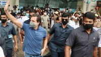 পোঙ্গল নিয়ে রাজনীতি! জাল্লিকাট্টু দেখে রাহুলের প্রতিজ্ঞা, তামিল সংস্কৃতি রক্ষা করব