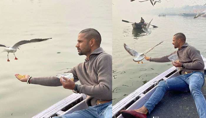 পরিযায়ী পাখিদের নিজের হাতে খাবার খাইয়ে মহামুশকিলে Shikhar Dhawan