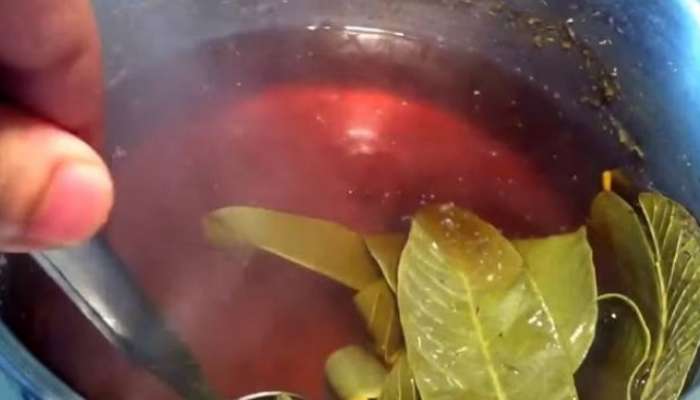 চুল পড়ছে, টাক দেখা যাচ্ছে ? পেয়ারা পাতাতেই হবে সমাধান চুল পড়ছে, টাক দেখা যাচ্ছে ? পেয়ারা পাতাতেই হবে সমাধান