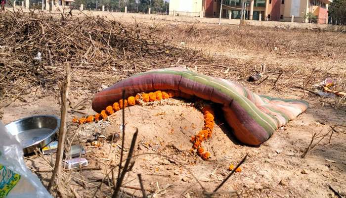 বিশ্বভারতী ক্যাম্পাস চত্বরে 'কবর', ওপরে চাপানো ধূপ-মালা-তোশক