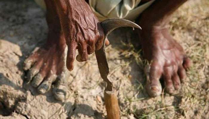 Farmer&#039;s Protest: দিল্লির Tikri সীমান্তে কৃষকের আত্মহত্যা, ব্যাপক উত্তেজনা