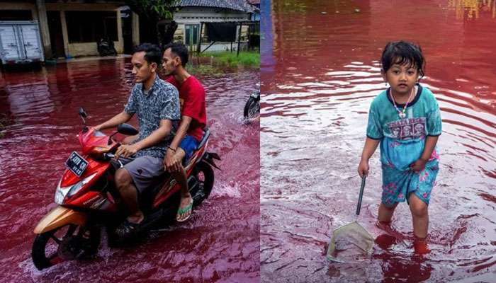 রক্তের বন্যা যেন! গোটা গ্রাম ভাসছে লাল জলে, Viral Video ঘিরে রহস্য