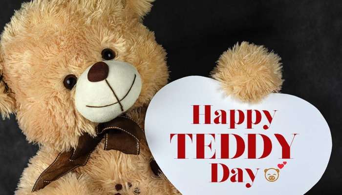 Teddy day 2021: কী ভাবে জন্ম নিল টেডি বেয়ার?