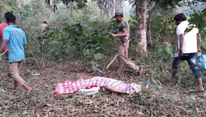 উত্তরবঙ্গে প্রথমবার, হাতির হামলায় একসঙ্গে ৩ জনের মৃত্যু, আতঙ্ক হলদিবাড়িতে