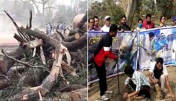 Modi-র আগমনে গাছ 'কাটা' ঘিরে সরগরম ডানলপ, পাল্টা বৃক্ষরোপণ TMC-র
