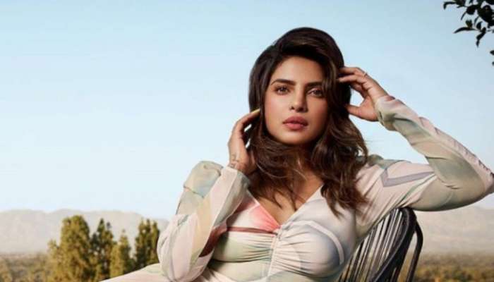 নাম &#039;সোনা&#039;, সুখবর দিলেন Priyanka Chopra