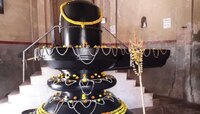 রাজা কৃষ্ণচন্দ্র প্রতিষ্ঠিত শিবনিবাসে শিবরাত্রি উৎসবে ভক্তের ঢল