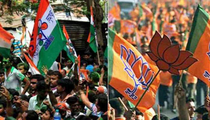 WB Assembly Election 2021: বিজেপির কেন্দ্রীয় নেতাকে বেধড়ক মারধর, অভিযোগ তৃণমূলের বিরুদ্ধে