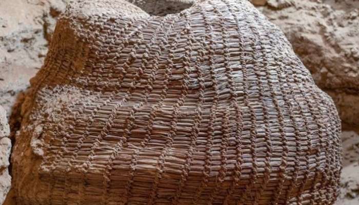  জুডিয়ান মরুভূমির এক Cave থেকে পাওয়া গেল ১০ হাজার বছরের পুরনো ঝুড়ি!