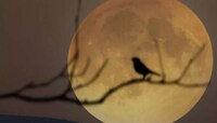 রবিবার মধ্যরাতের আকাশে দেখা যাবে Supermoon