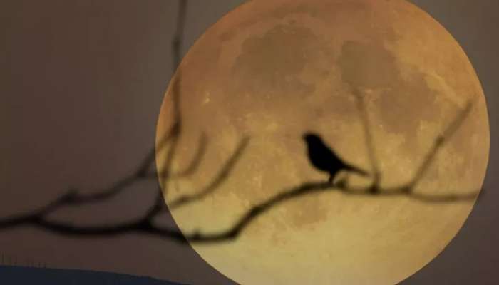 রবিবার মধ্যরাতের আকাশে দেখা যাবে Supermoon