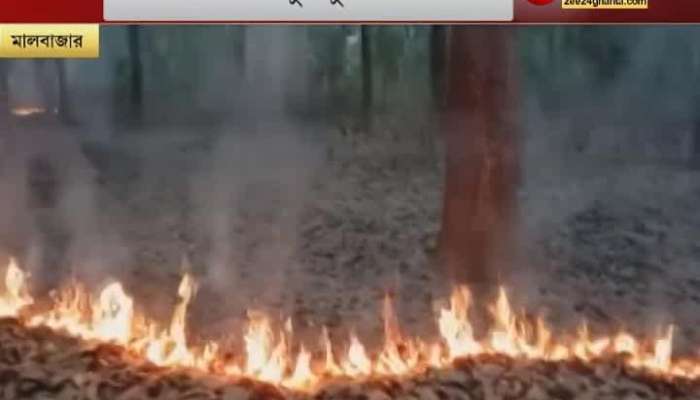 Fires are raging in the forest at Baikunthapur in Malbazar, panicked animals have been seen leaving the forest