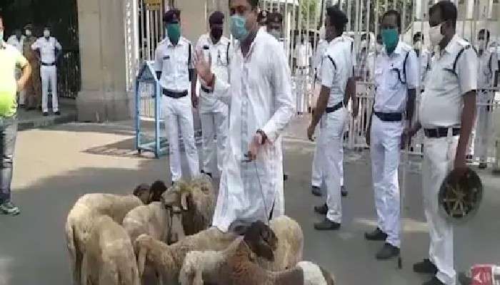 রাজভবনের সামনে ভেড়ার পাল নিয়ে বিক্ষোভ, হেয়ার স্ট্রিট থানায় মামলা দায়ের