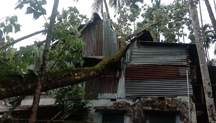 Yaas-এর আগমনীর জেরেই বাড়ির উপর পড়ল গাছ