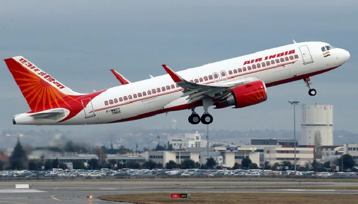 Air India এর বিমানে বাদুড় আতঙ্ক! উড়ে গিয়েও দিল্লিতে ফিরে জরুরি অবতরণ