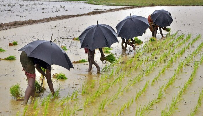 Monsoon Forecast: Kerala হয়ে আজই ভারতে ঢুকছে বর্ষা, জানাল হাওয়া অফিস