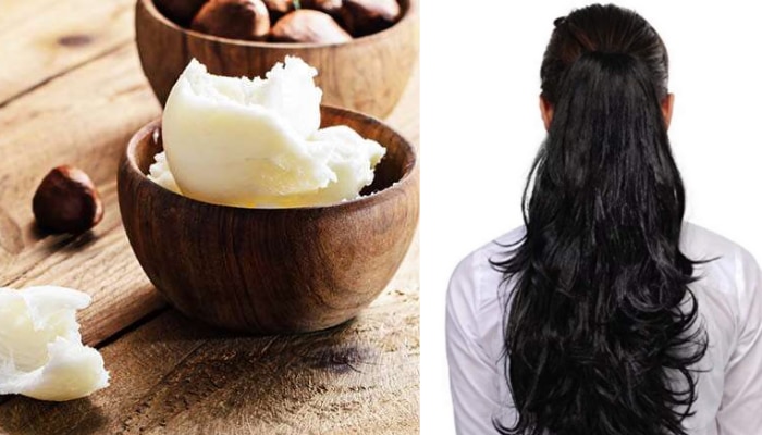 Shea butter এর মাধ্যমে চুলের যত্ন নিন 