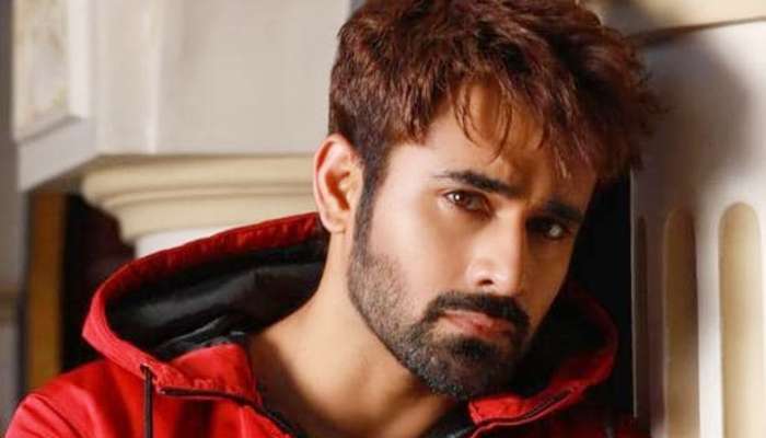 জামিন পেলেন Pearl V Puri , নাবালিকাকে ধর্ষণের অভিযোগে গ্রেফতার হন অভিনেতা