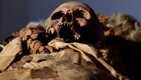 আজব কাণ্ড! মমির হল CT Scan, ইতিহাসে বিরল