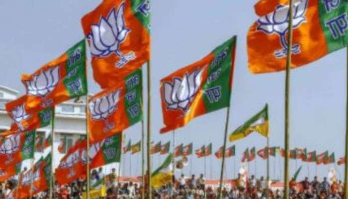 বাড়ির সামনে বোমাবাজির অভিযোগ, কান্দিতে 'আক্রান্ত' বিজেপি নেতা 