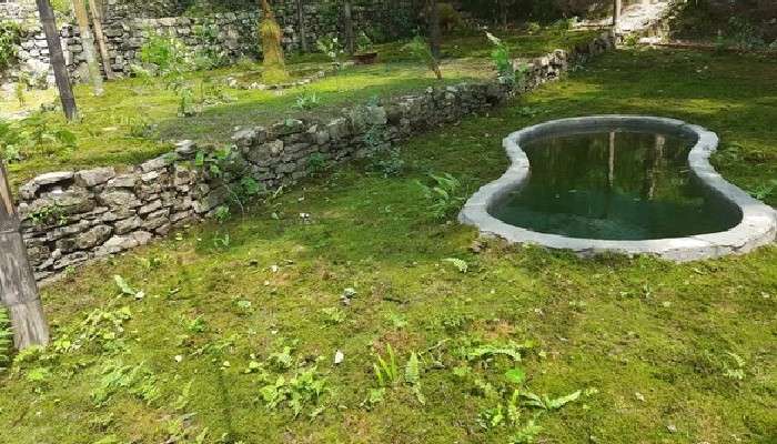 দেশের প্রথম Cryptogamic Garden দেরাদুনে 