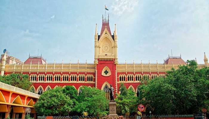'সার্কাস চলছে', ভার্চুয়াল শুনানিতে নেট-বিভ্রাটে কলকাতা হাইকোর্টের বিচারপতি      