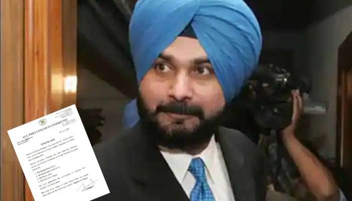  Punjab কংগ্রেসের নয়া সভাপতি Navjot Singh Sidhu, মানতে নারাজ সাংসদদের একাংশ!