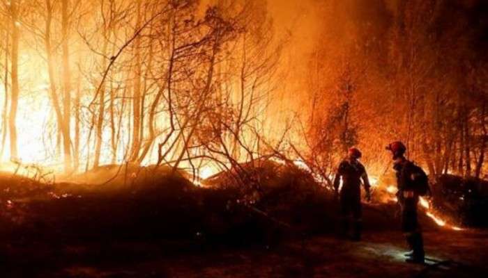 Greece wildfire: দাবানলের আগুনে পুড়ছে গ্রিস, ইউরোপজুড়ে ভয়ঙ্কর দাবদাহ