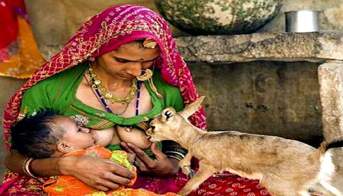 মাতৃদুগ্ধের বিকল্প নেই, World breastfeeding week 2021 এ সেইসব মায়েদের কুর্নিশ