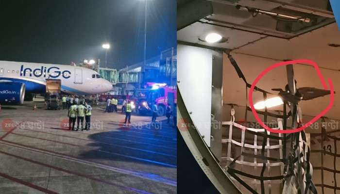 Kolkata Airport: বিমানের কার্গো হোল্ডারে সাপ, তীব্র আতঙ্ক
