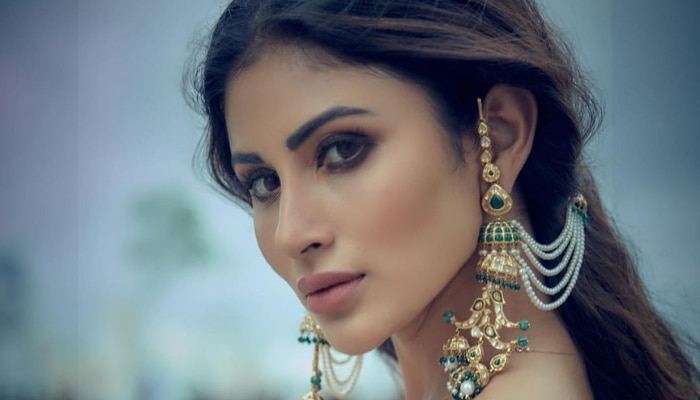 Mouni Roy: বিকিনি হোক কিংবা এথনিক, সব লুকেই পারফেক্ট জলপাইগুড়ির মেয়ে 