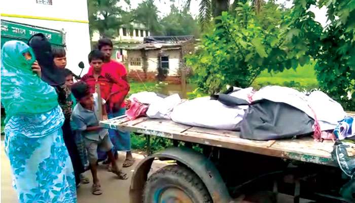 Dhola: মাকে ধারাল অস্ত্রের কোপ; ভাইকে ভেড়ির জল ঢুবিয়ে খুন, চোখের সামনে দেখল ১১ বছরের বালক