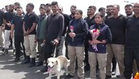 তালিবান আতঙ্ক এড়িয়ে কাবুলে ভারতীয় দূতাবাস আগলে রাখল 3 Sniffer Dogs! কিন্তু কীভাবে? 