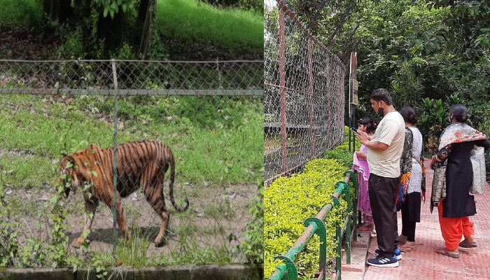 Alipore Zoo Reopened: পুজোর আগেই খুলে গেল আলিপুর চিড়িয়াখানা, কোভিডবিধিতে কড়াকড়ি 