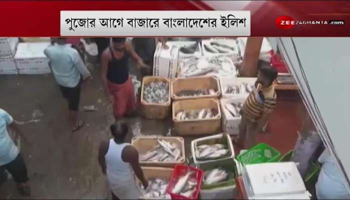 Hilsa of Bangladesh is available in Kolkata market for 800 to 2000 rupees