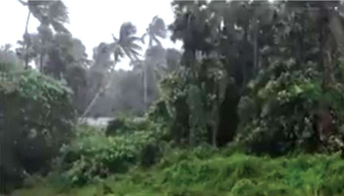 Cyclone Gulab: অন্ধ্র উপকূলে ল্যান্ডফল করল গুলাব, ঝড়ের গতি হতে পারে ১০০ কিমি প্রতি ঘণ্টা