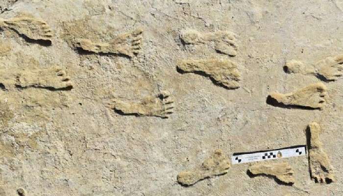 Early Humans: উত্তর আমেরিকায় মানুষ পৌঁছেছিল ২৩ হাজার বছর আগে! 