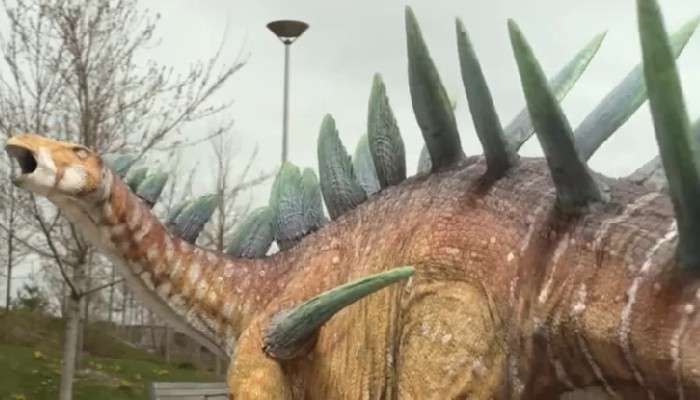 Dinosaur Fossil: ডাইনোসরের সারা শরীরে কাঁটা! জীবাশ্ম দেখে বিস্মিত গবেষকেরা