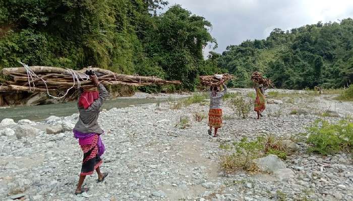 Dooars: দীর্ঘ সময় ডুয়ার্সের সমস্ত 'নদী বন্ধ' থাকায় পুজোর আগে হাতে টাকা নেই স্থানীয়দের Dooars: দীর্ঘ সময় ডুয়ার্সের সমস্ত 'নদী বন্ধ' থাকায় পুজোর আগে হাতে টাকা নেই স্থানীয়দের