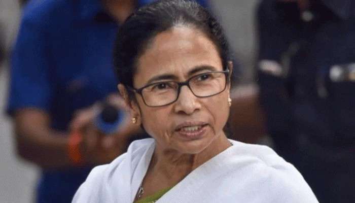 Mamata Banerjee: ব্যর্থ কংগ্রেস, বিজেপিকে পরাজিত করার দায়িত্ব এখন তৃণমূলেরই, জানালেন মমতা