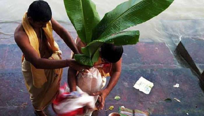 #উৎসব: মহাসপ্তমীর কলাবউ পুজো আসলে কৃষিসভ্যতারই উদযাপন #উৎসব: মহাসপ্তমীর কলাবউ পুজো আসলে কৃষিসভ্যতারই উদযাপন