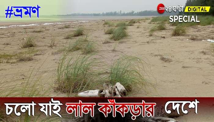 #ভ্রমণ: ছুটিতে যেতে চান নির্জন সৈকতে? চলুন লাল কাঁকড়ার দেশে