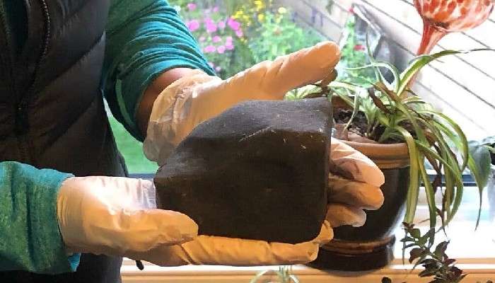 Meteorite: ছাদ ভেঙে ঘরে ঢুকে এল উল্কাপিণ্ড! অল্পের জন্য বাঁচলেন মহিলা